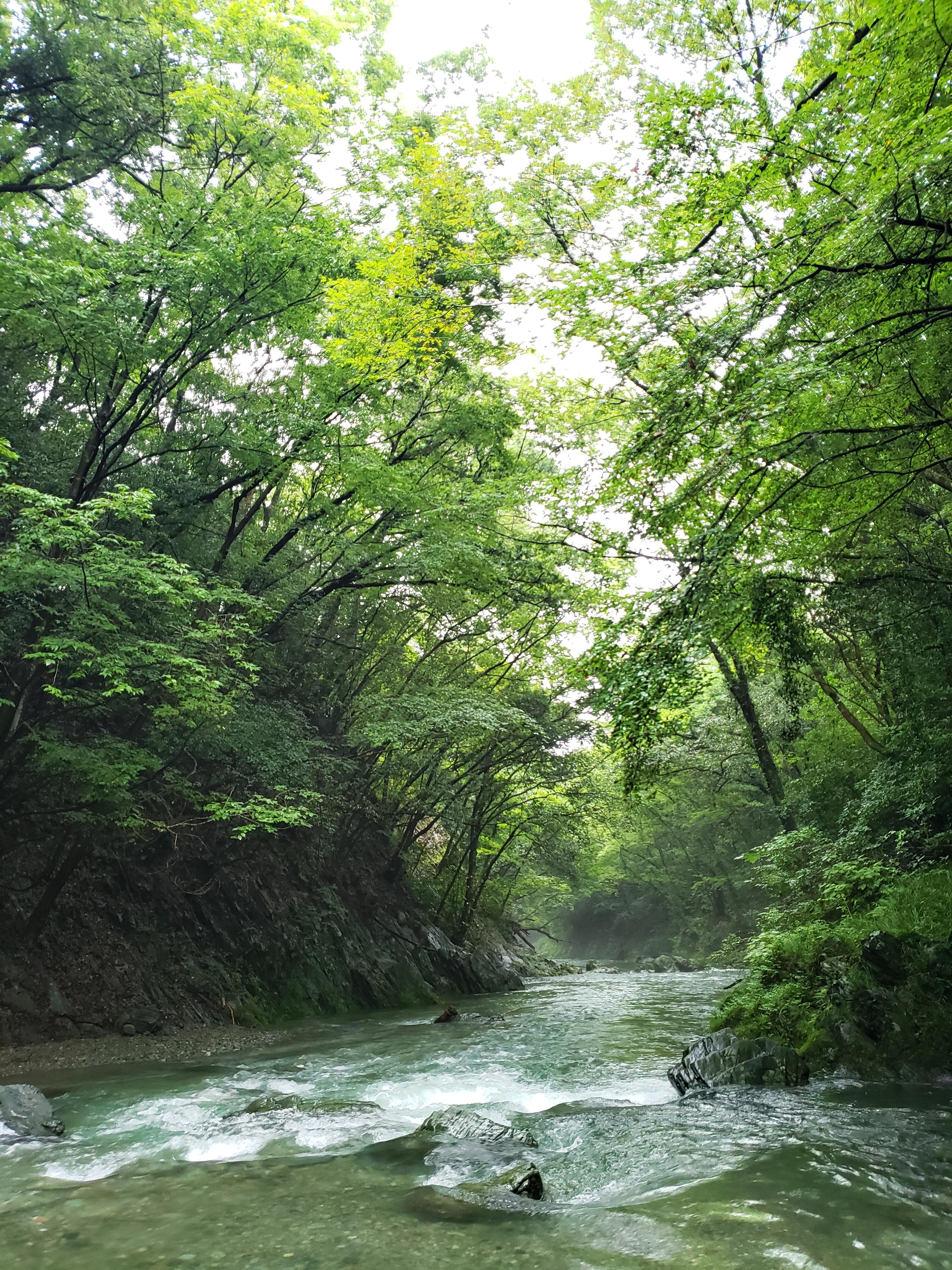 川のせせらぎを聞くだけでも涼を感じられます