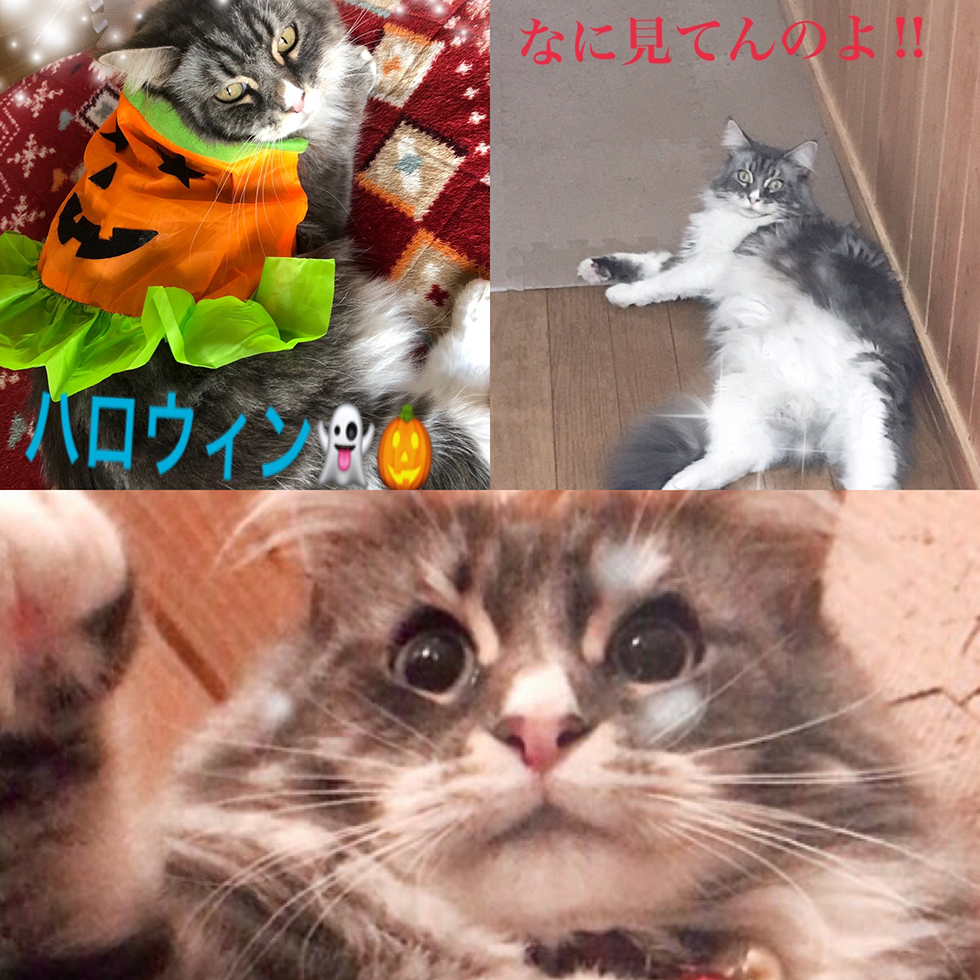 img_02.png