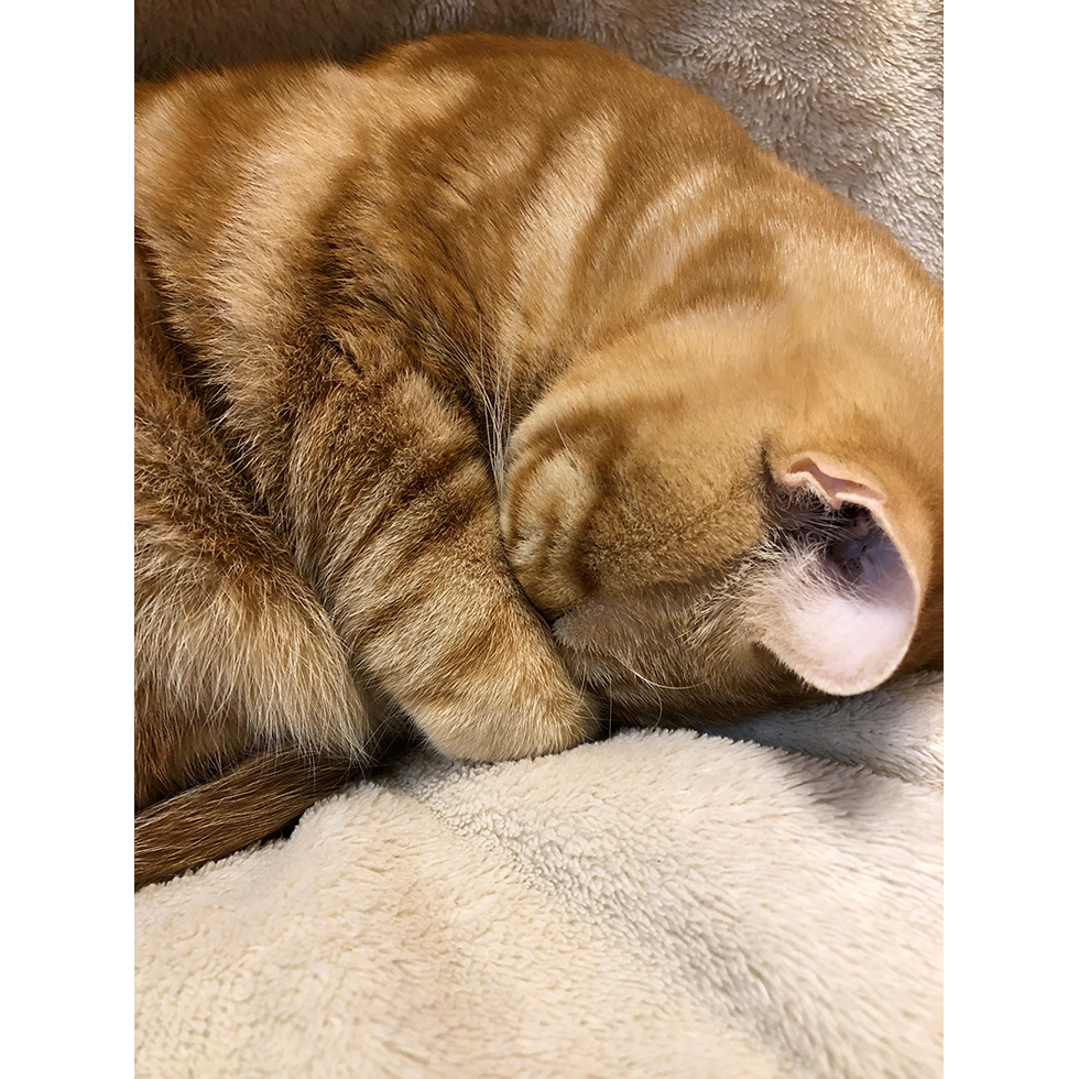 img_05.png