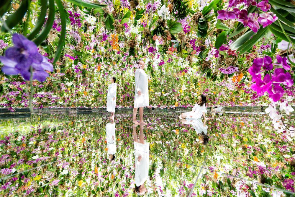 チームラボ《Floating Flower Garden: 花と我と同根、庭と我と一体》2015, Interactive Kinetic Installation, Endless, Sound: Hideaki Takahashi © teamLab, courtesy Pace Gallery